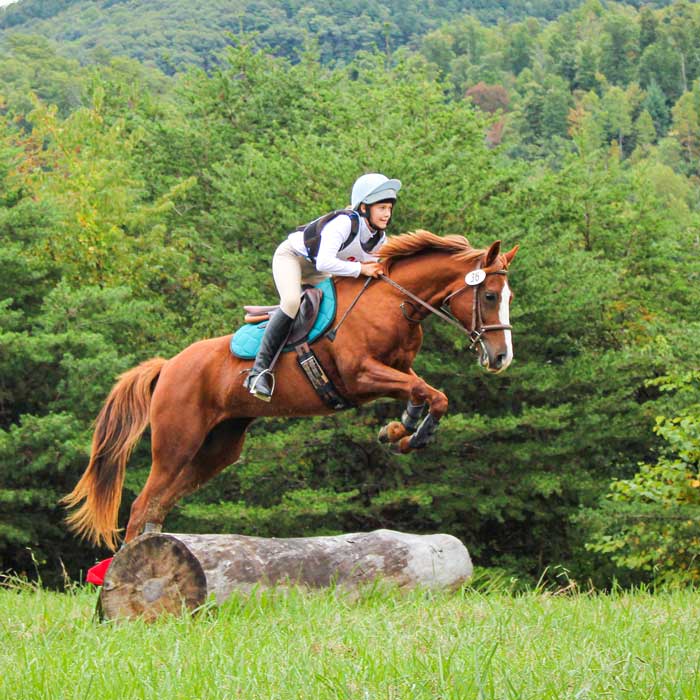 Picture of a person riding a brown horse jumping over an obstacle