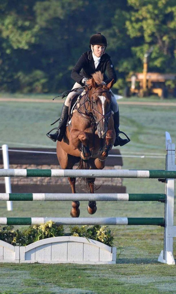 Horse and rider jumping stadium fence